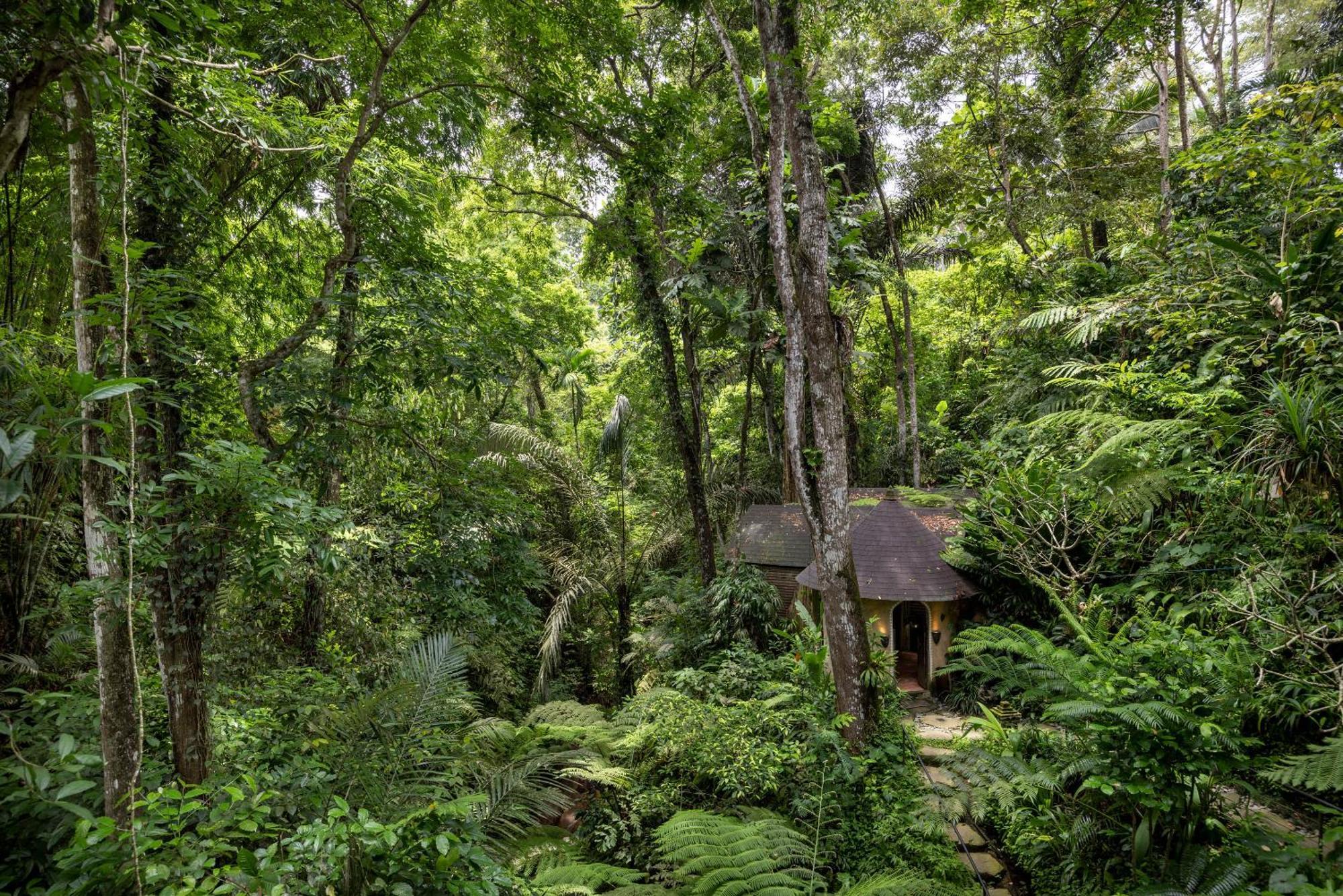 Hotel Pramana Giri Kusuma Payangan Exterior foto